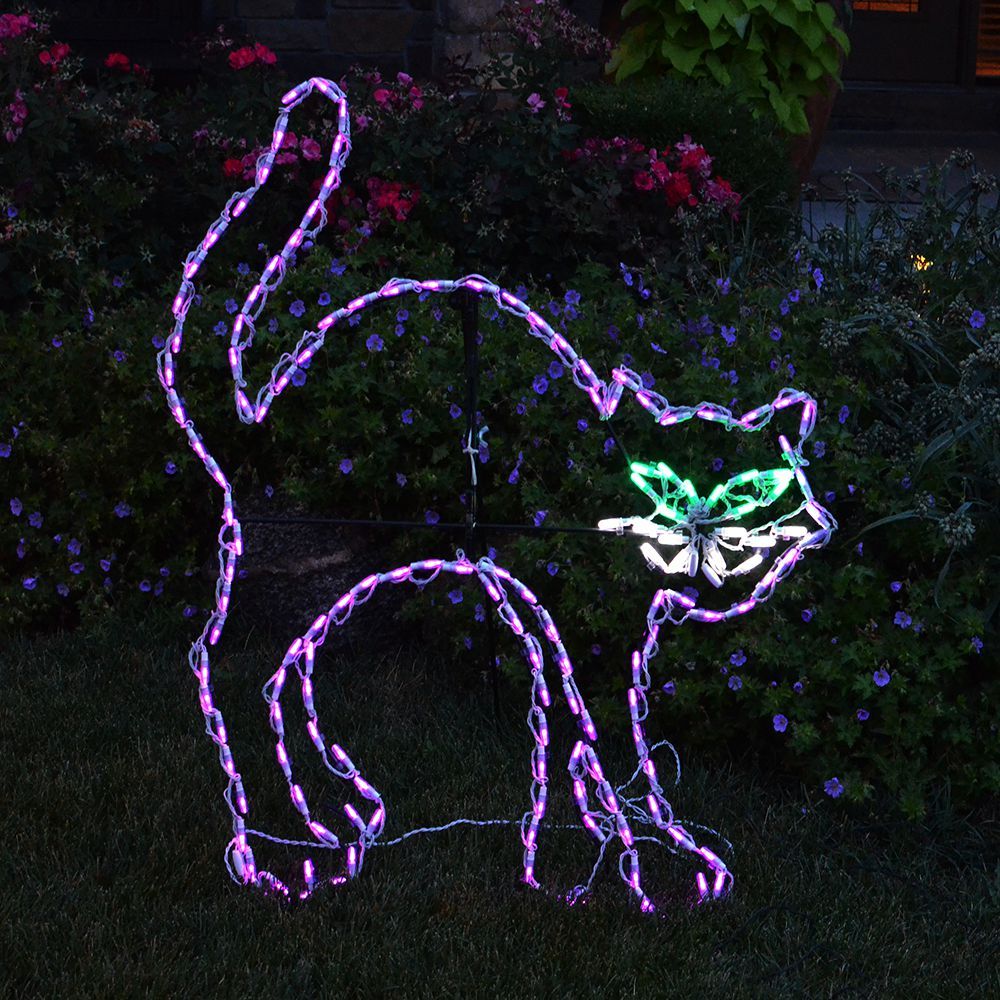 LED BLACK CAT #LED-BC40